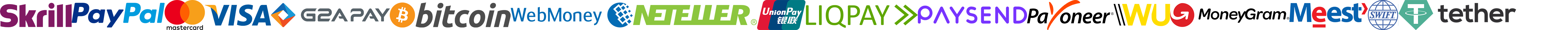 Payment methods: PayPal, Mastercard, Visa, Tether and DMN CMS